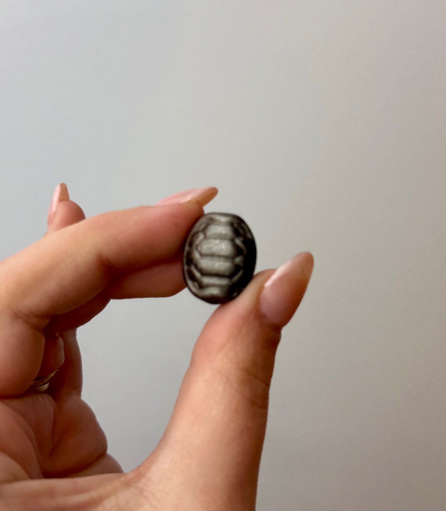 Silver obsidian turtle shell carvings