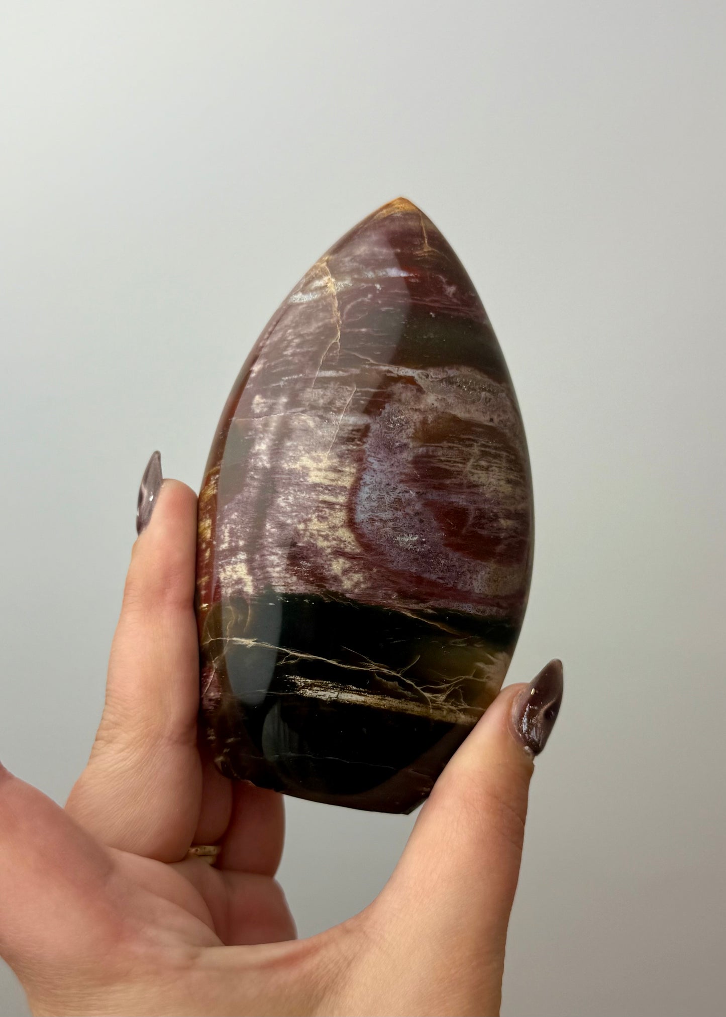 Petrified wood freeform