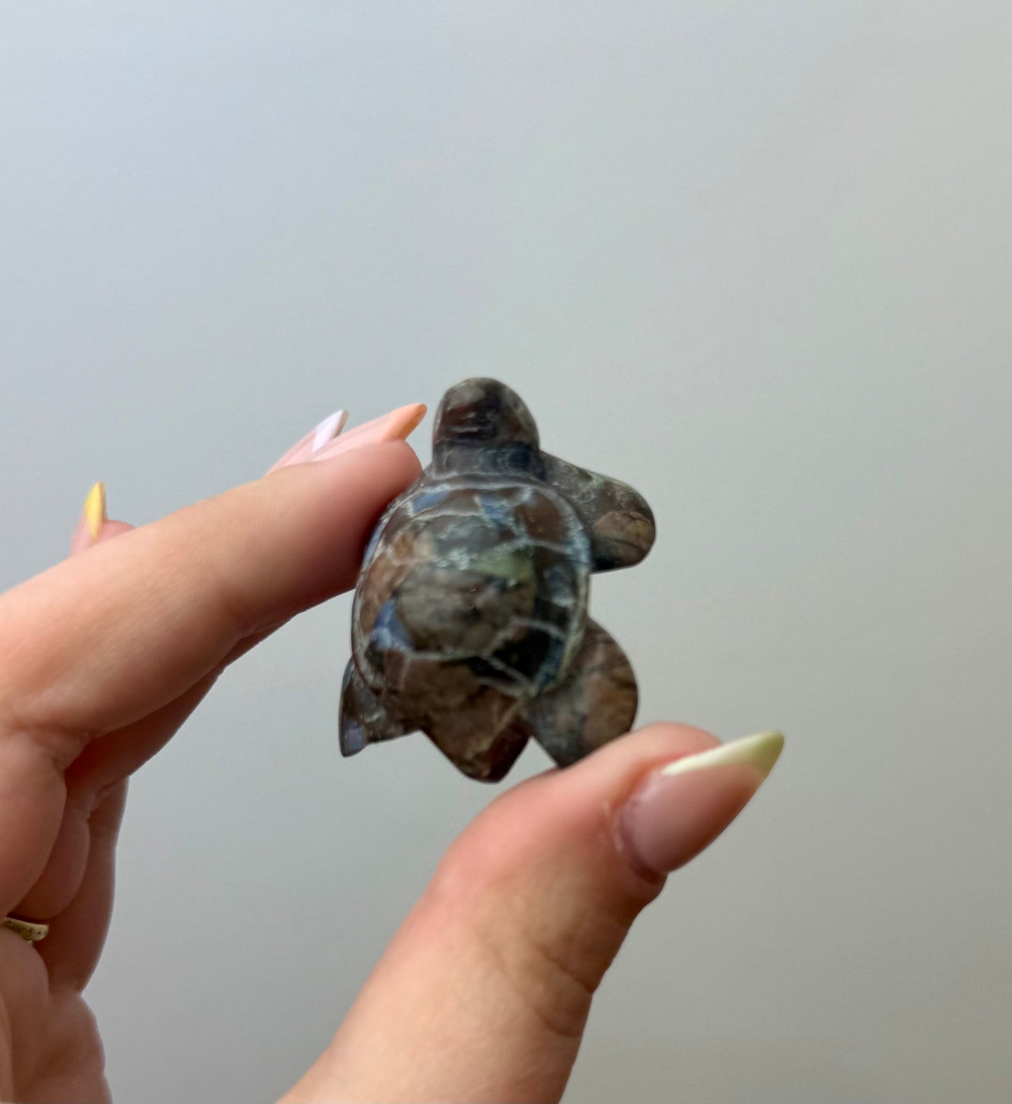Que-sera turtle carving