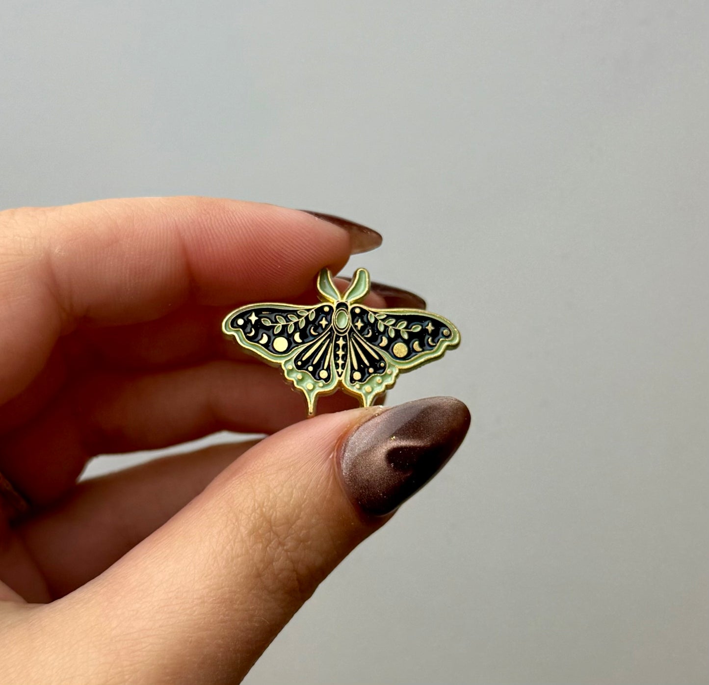 Moth enamel pin