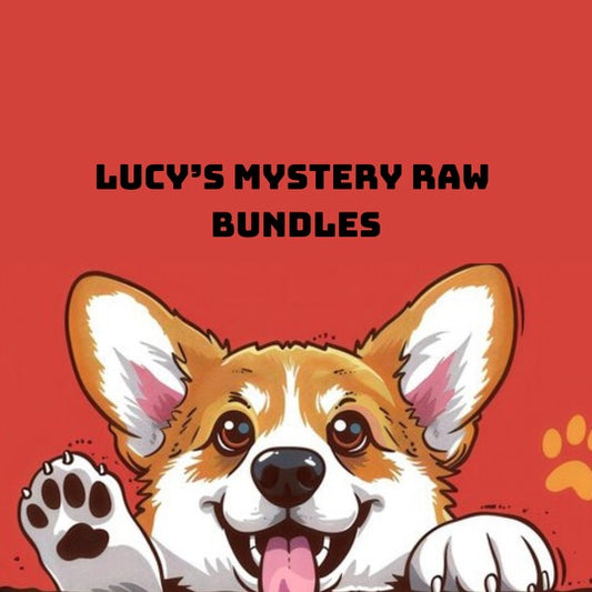 Lucy’s mystery raw bundle