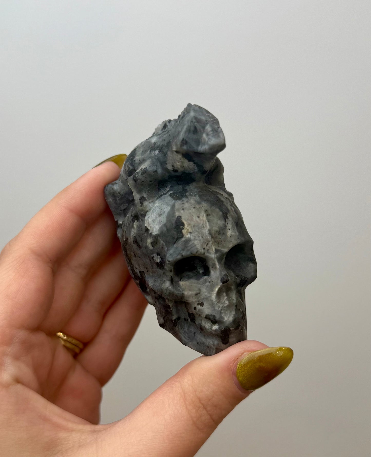 Larvikite skull with lizard carving