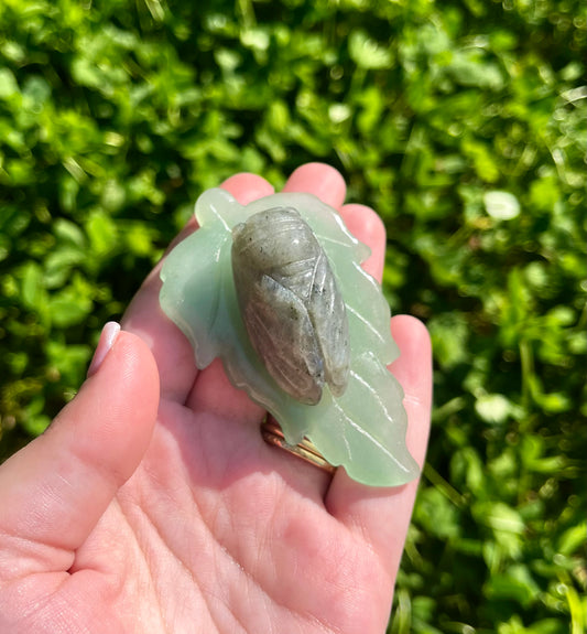 Cicada on a leaf carving