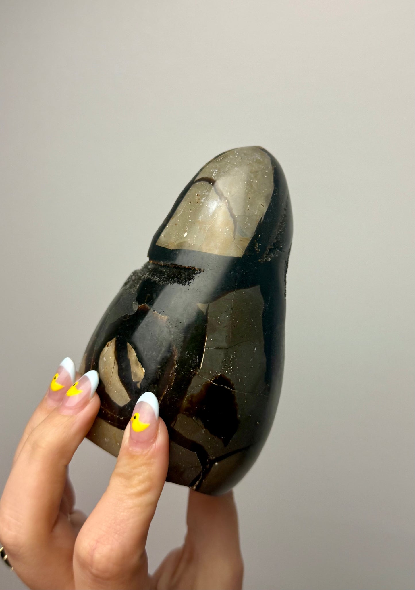 Septarian freeform