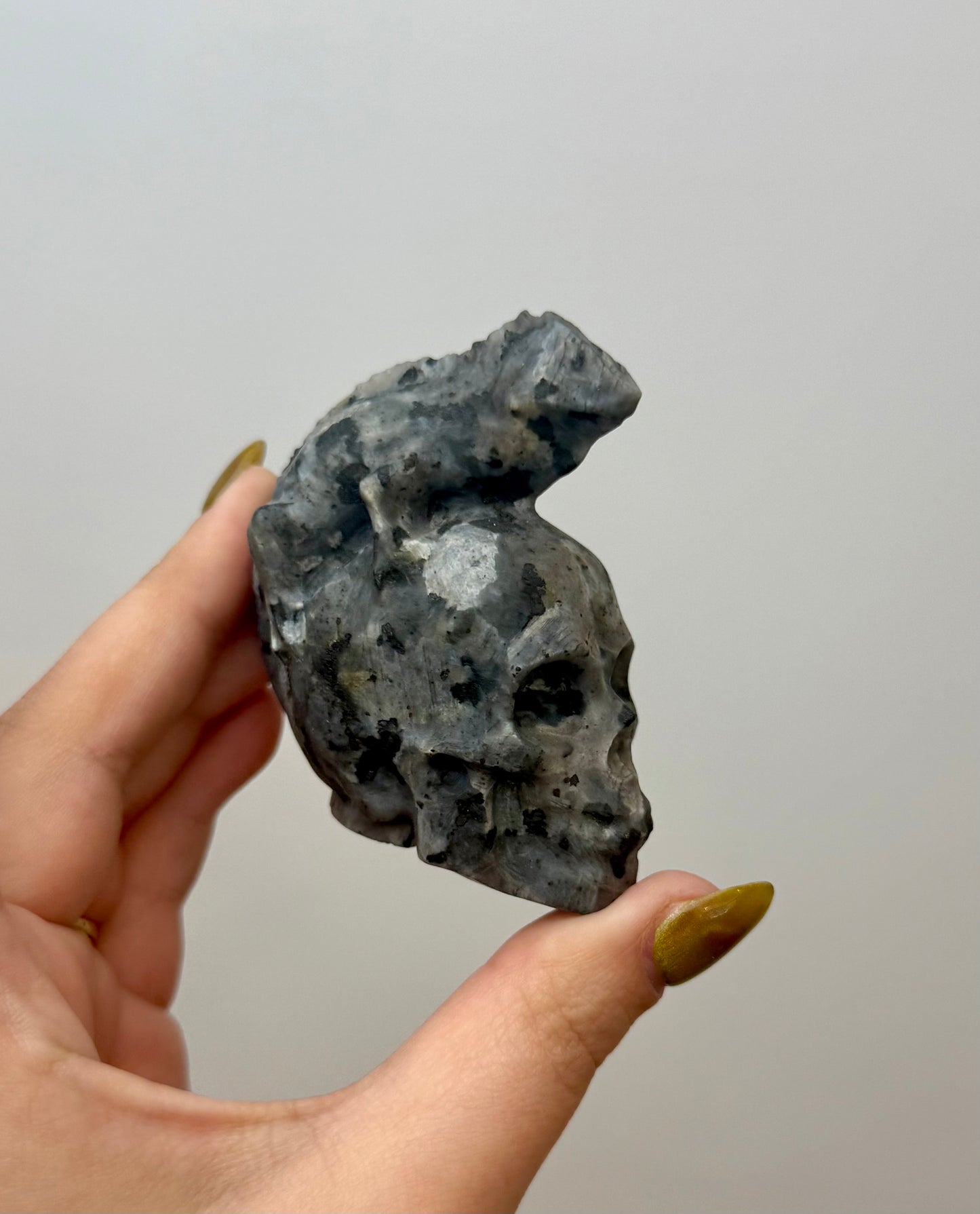 Larvikite skull with lizard carving
