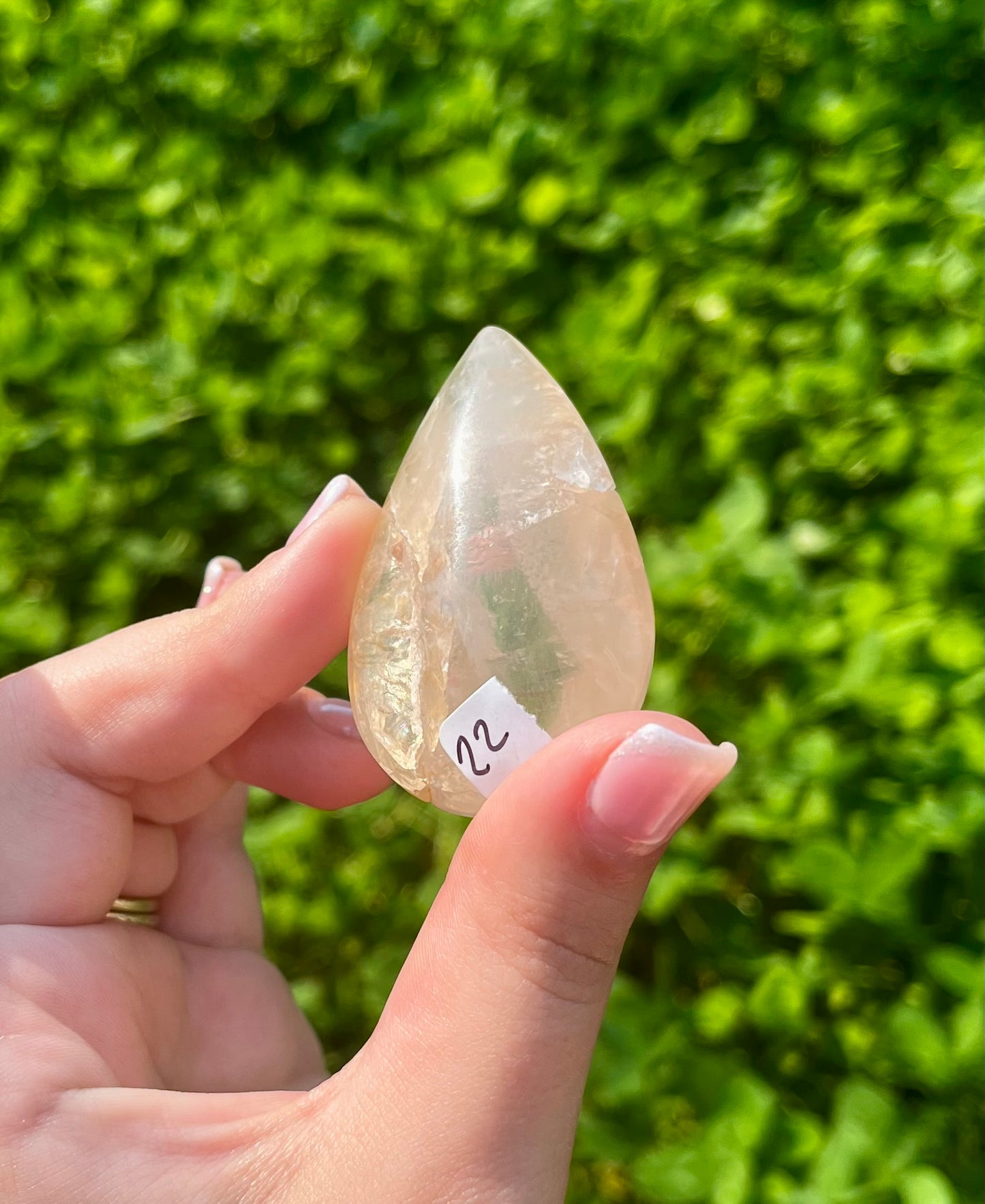 Imperfect golden healer rose quartz teardrop carving