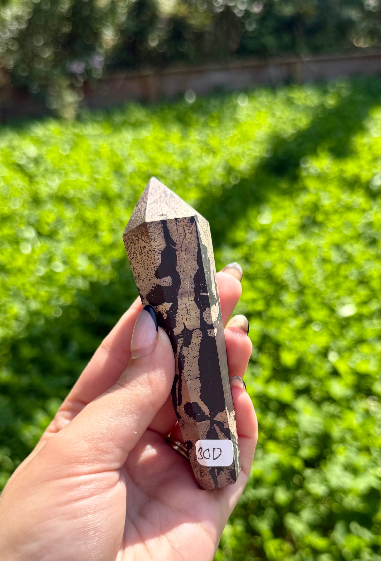 Picture jasper wand on stand