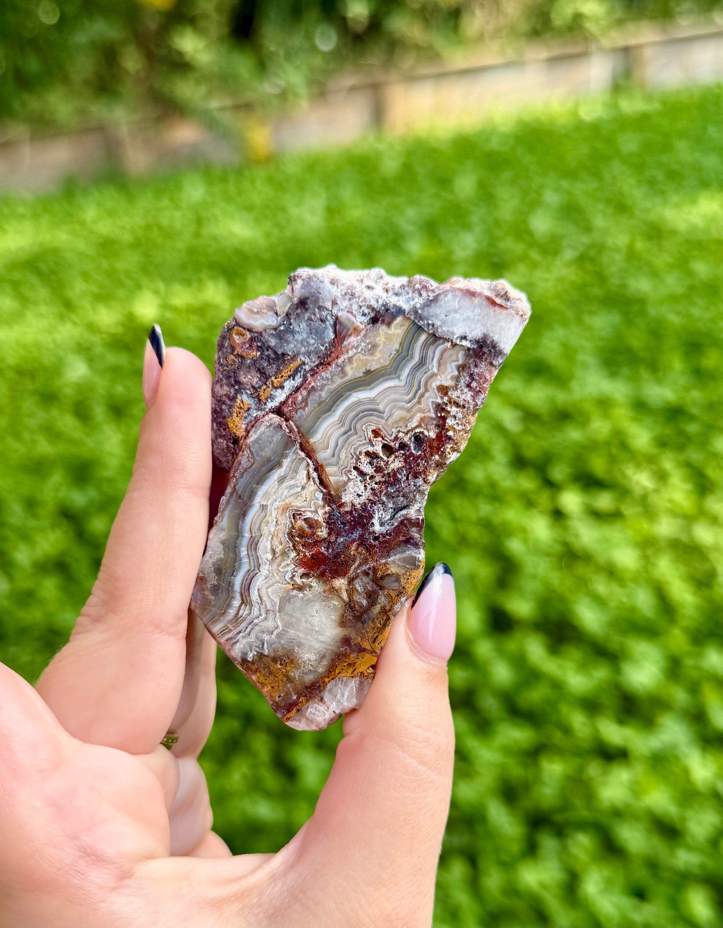 Mexican lace agate slab