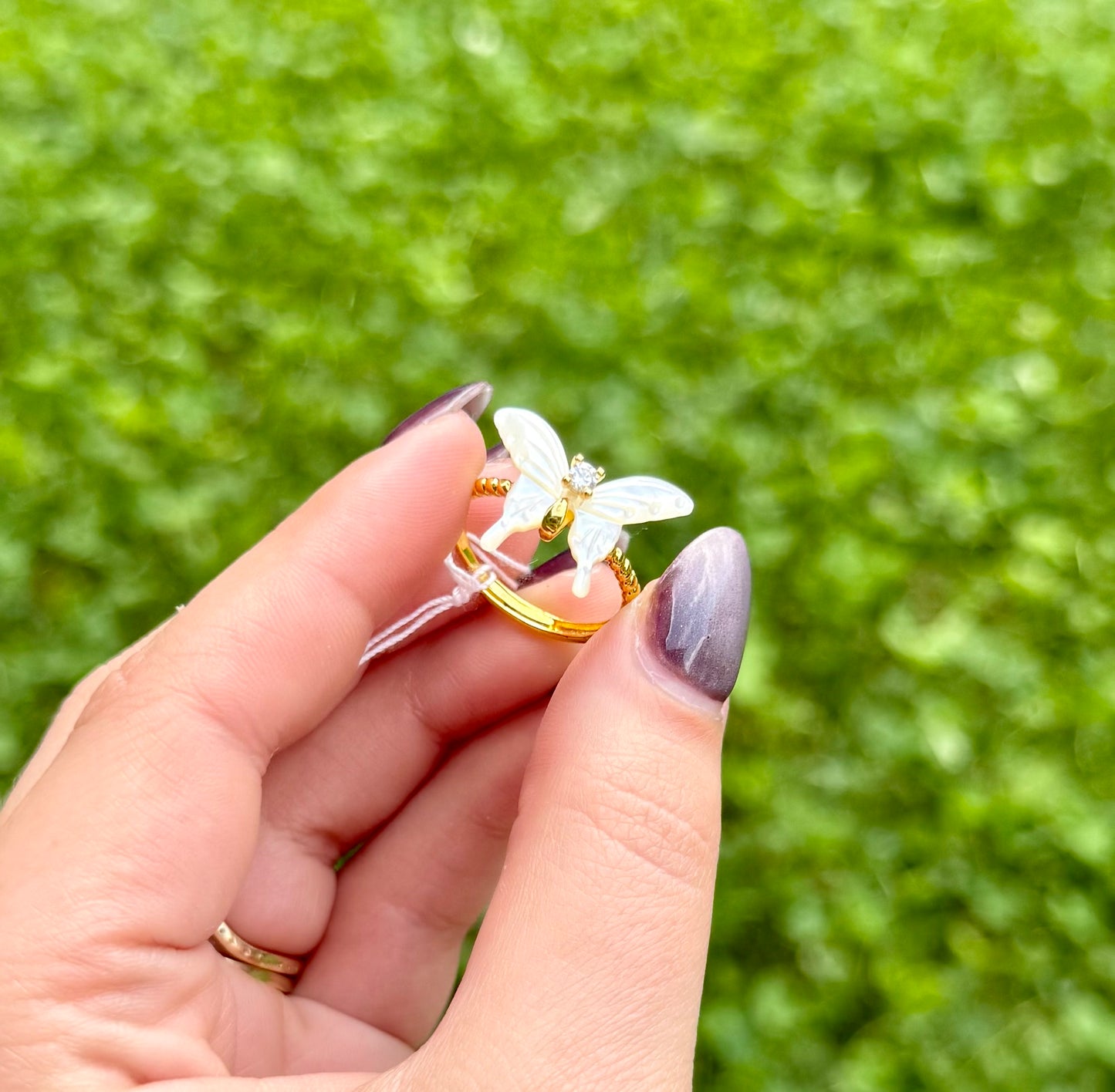 Shell butterfly adjustable ring
