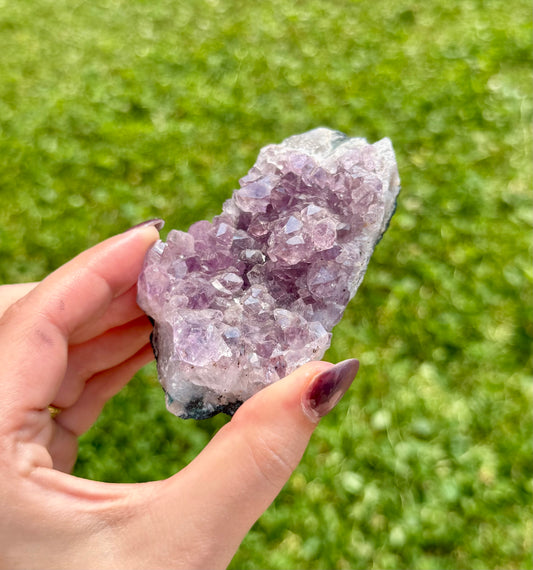 Amethyst cluster