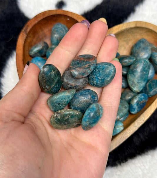 Blue apatite mini tumbles