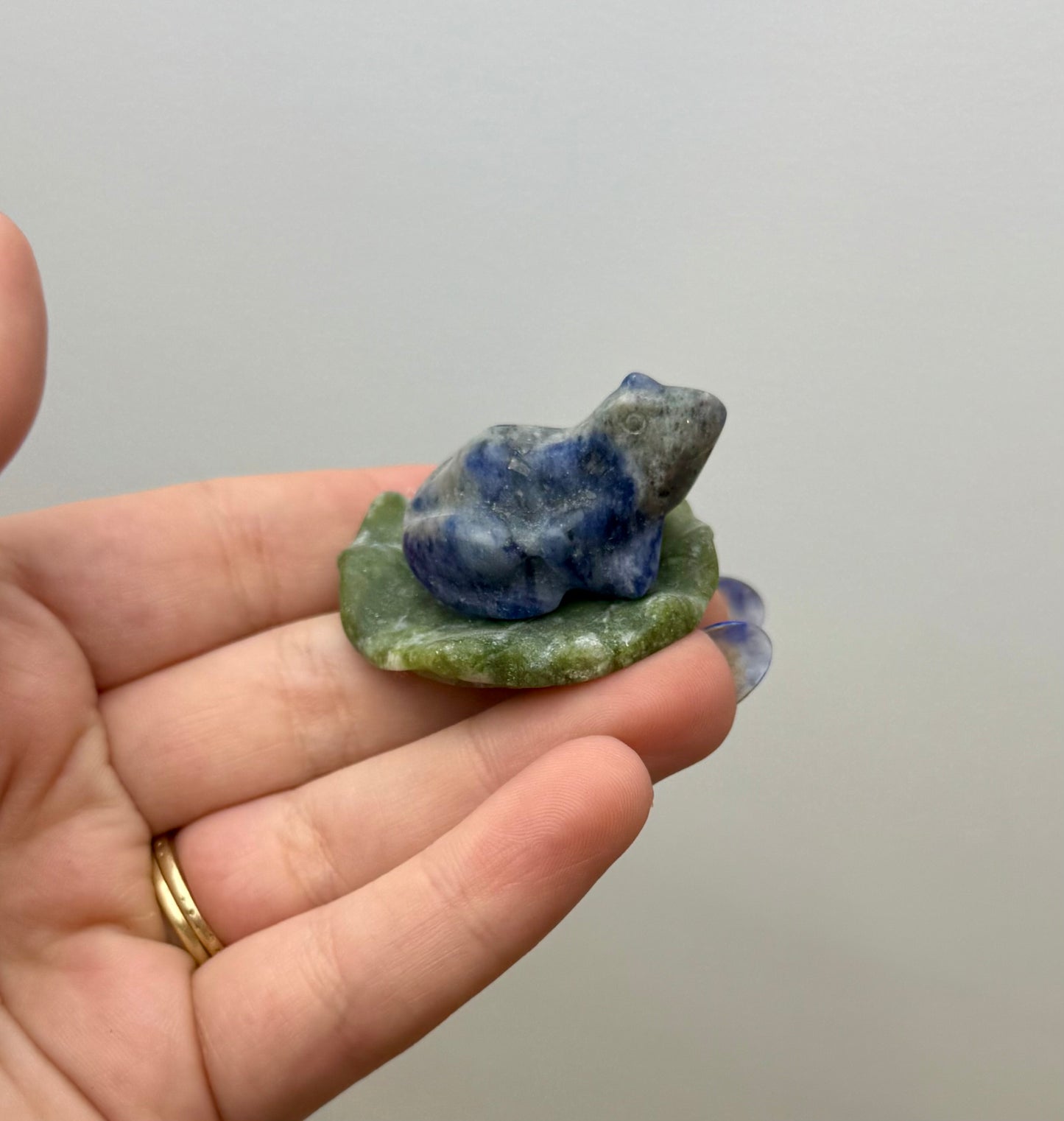 Sodalite frog on a lily pad carving