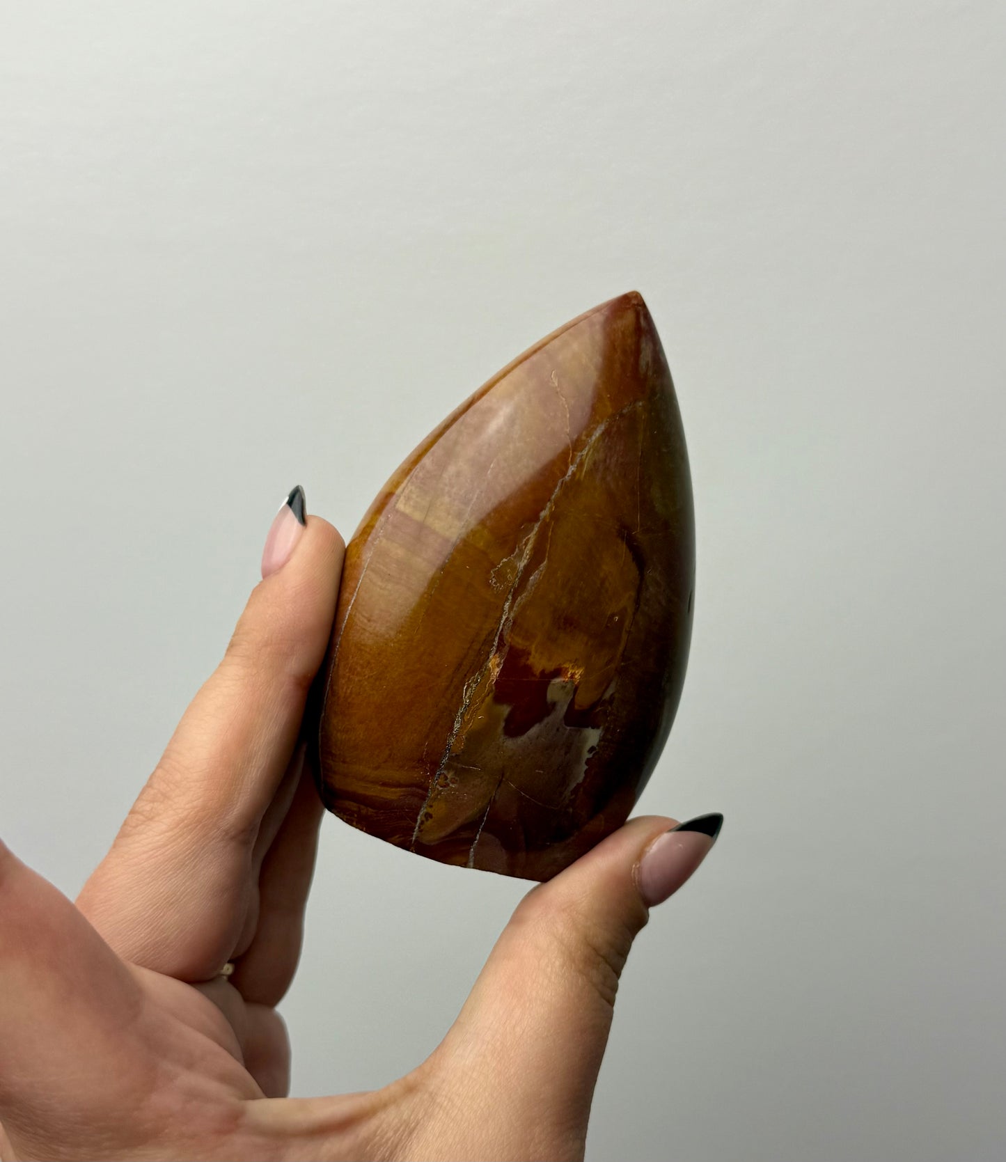 Petrified wood freeform