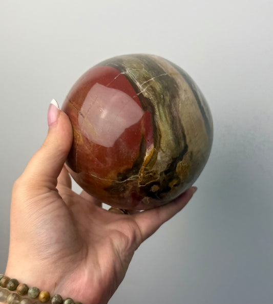 Petrified wood sphere