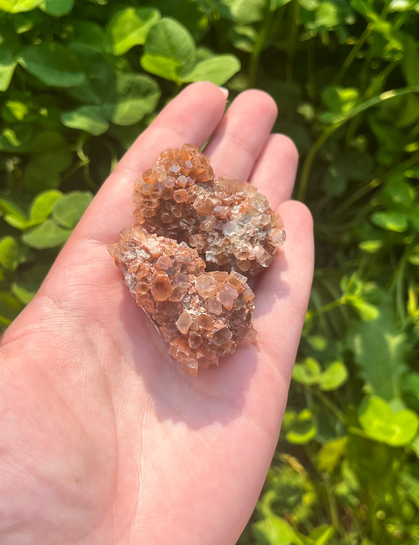 Aragonite specimens