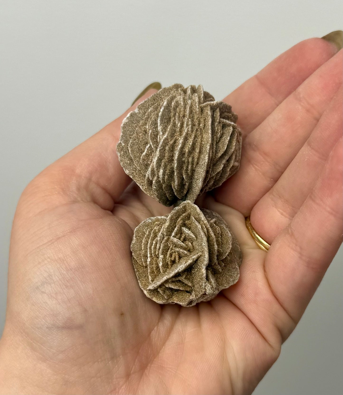 Desert rose specimens
