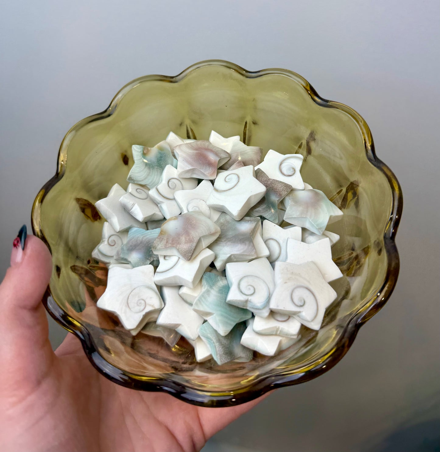 Shiva shell star carvings
