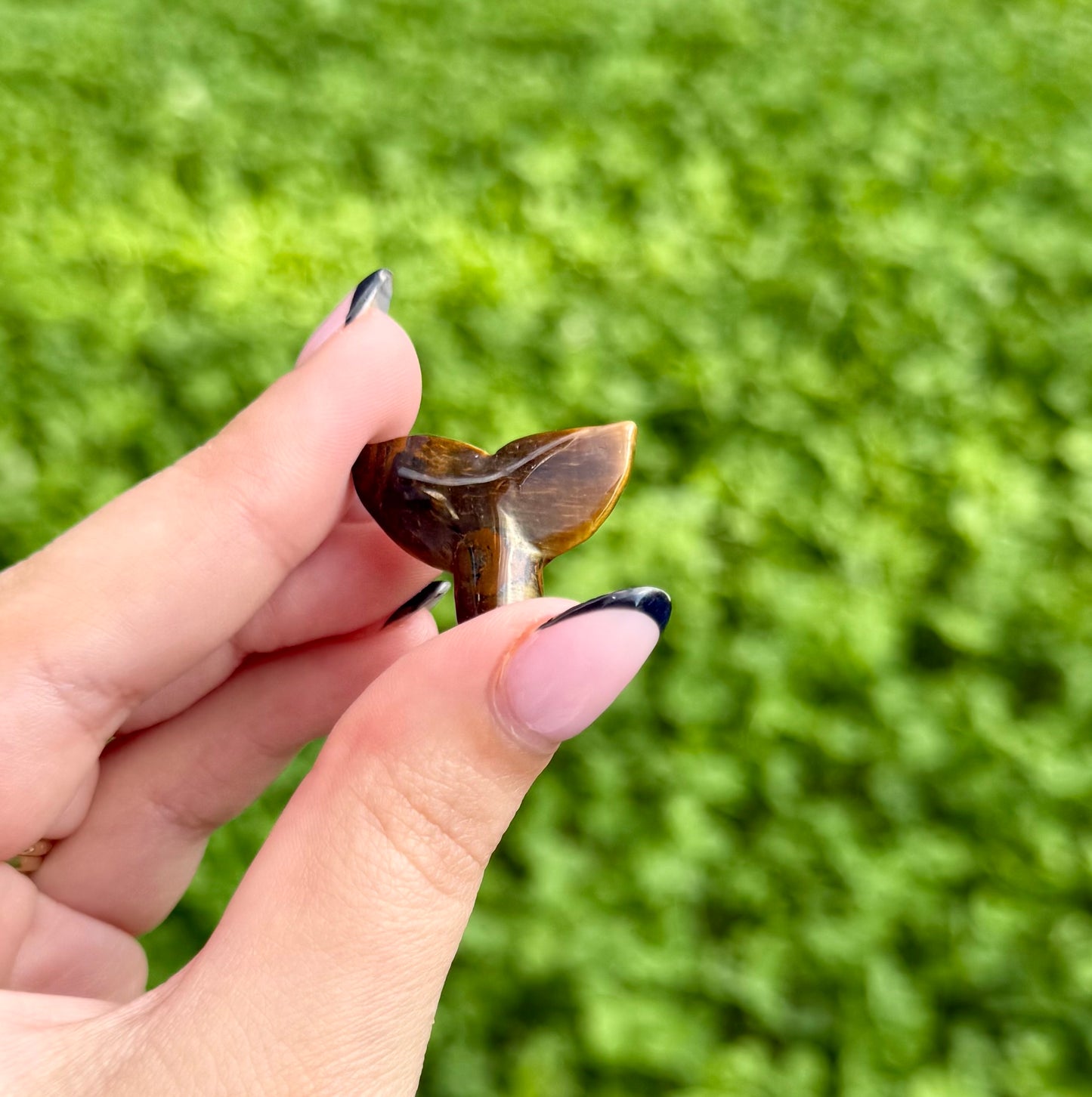 Tigers eye whale tail carving