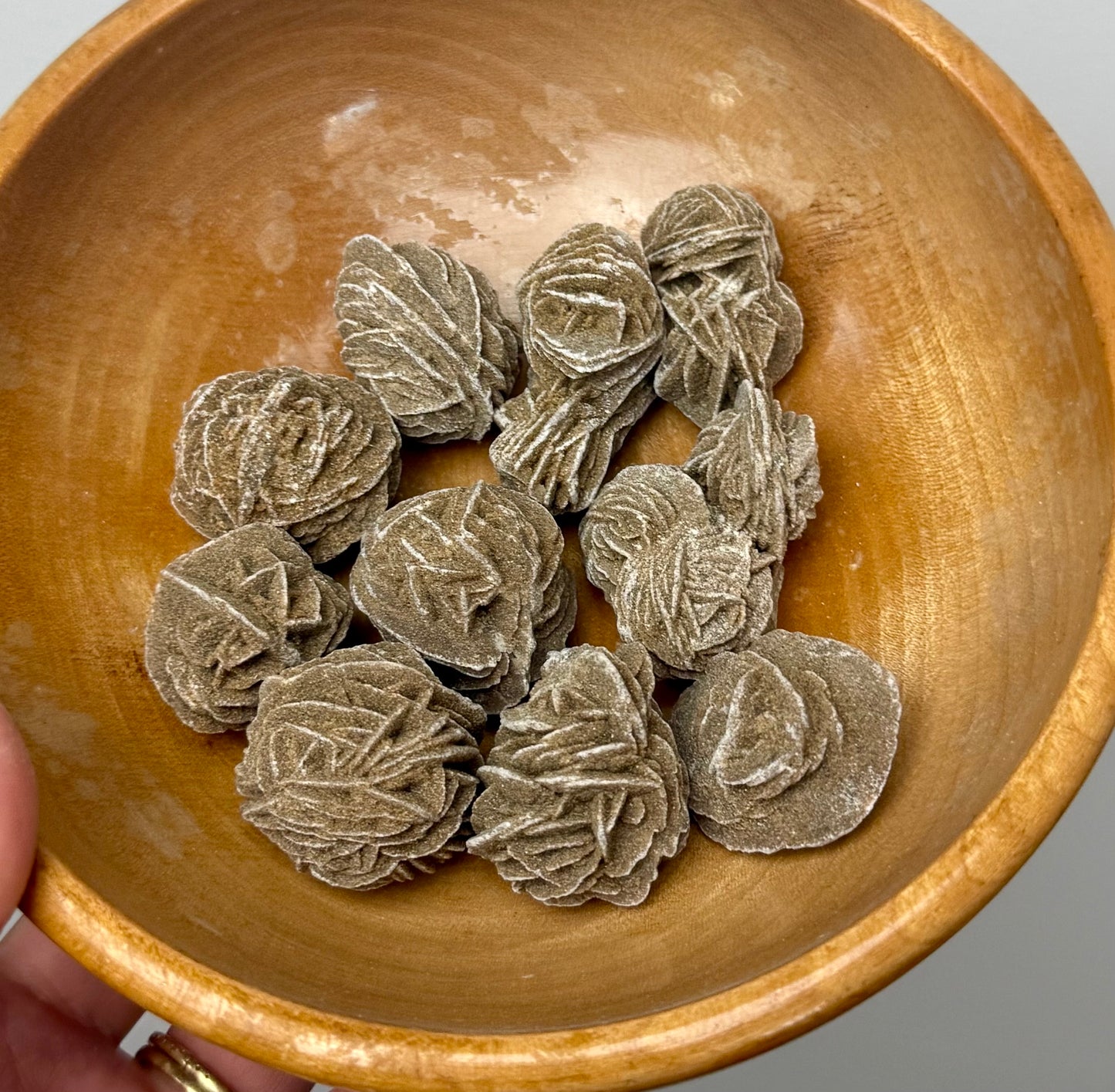 Desert rose specimens