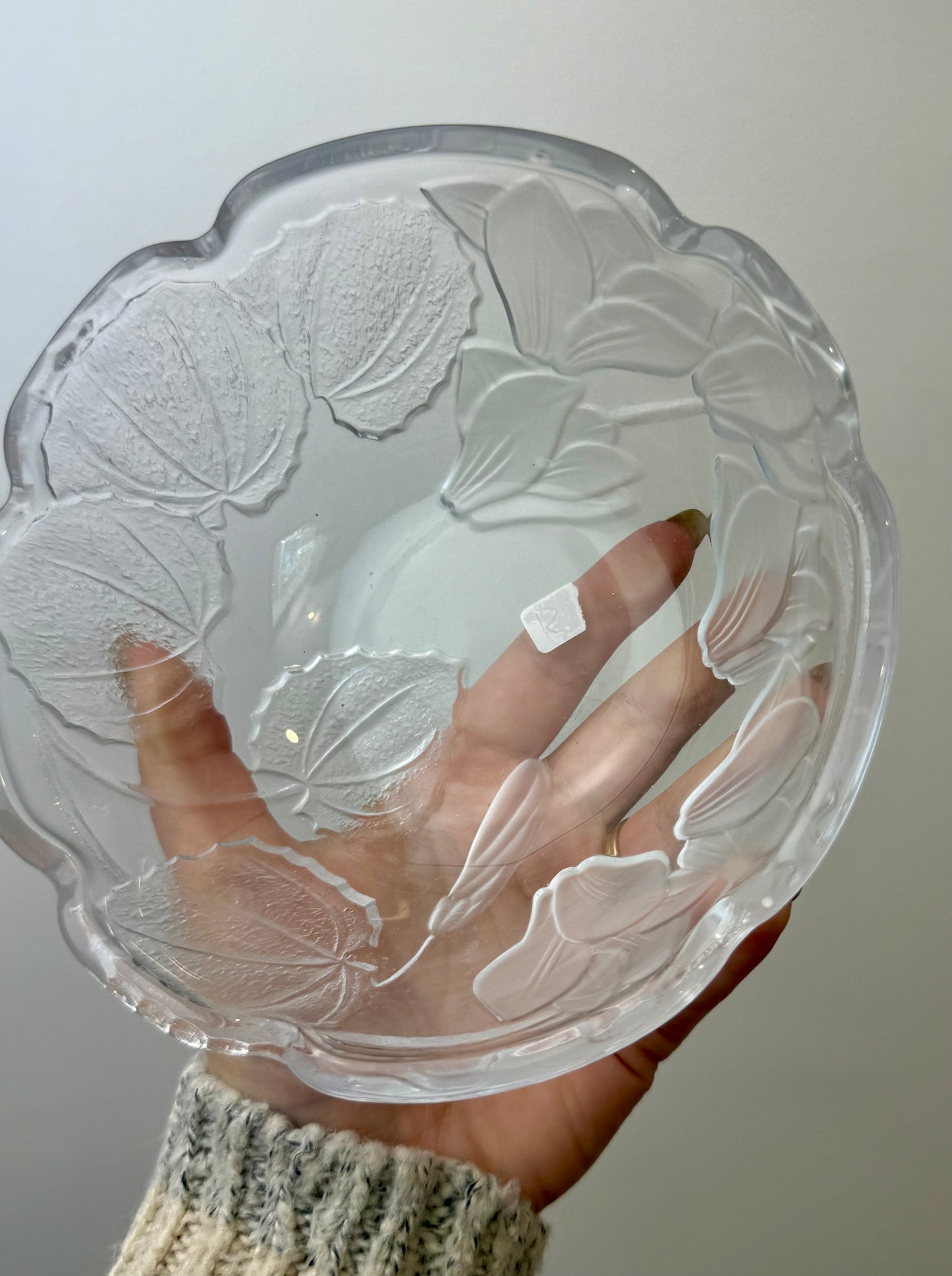 Glass bowl thrifted find