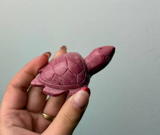 Sea turtle carving