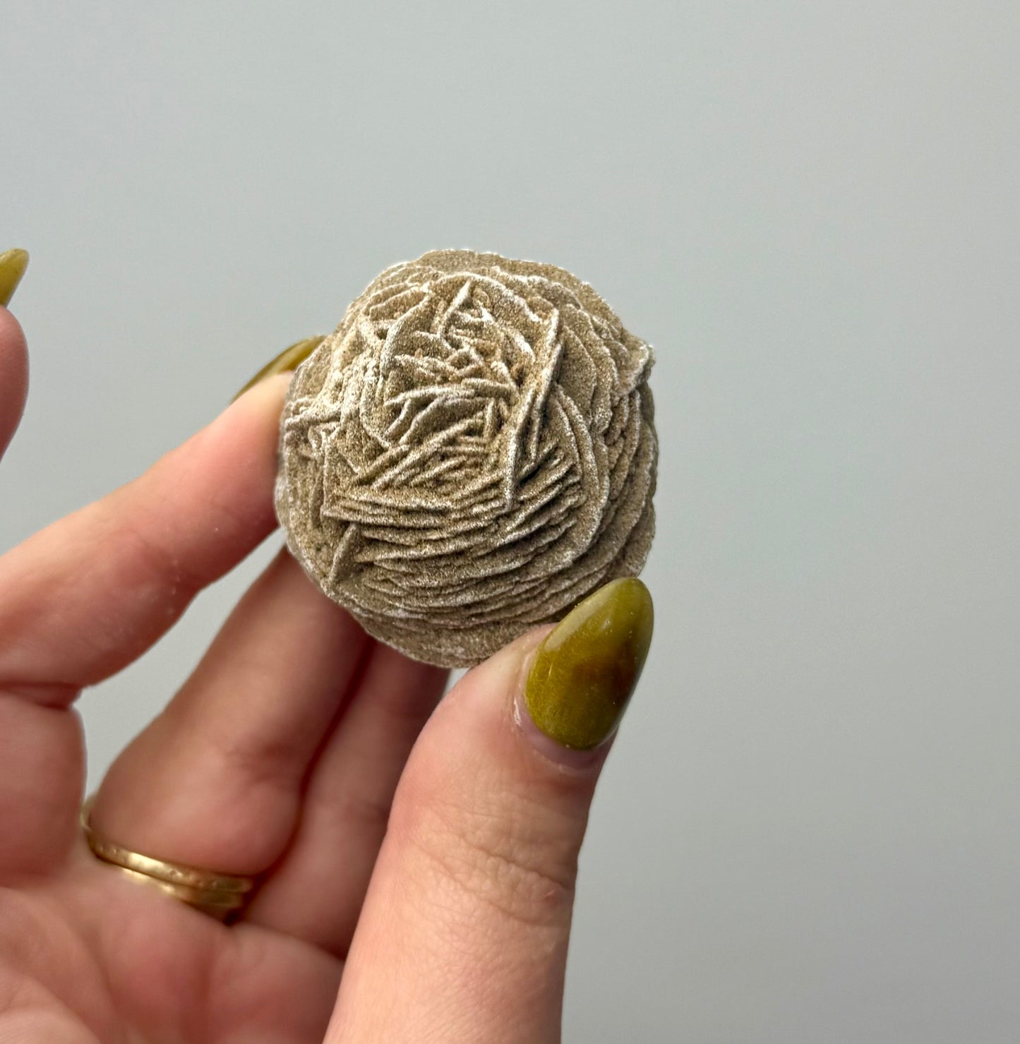 Desert rose specimen