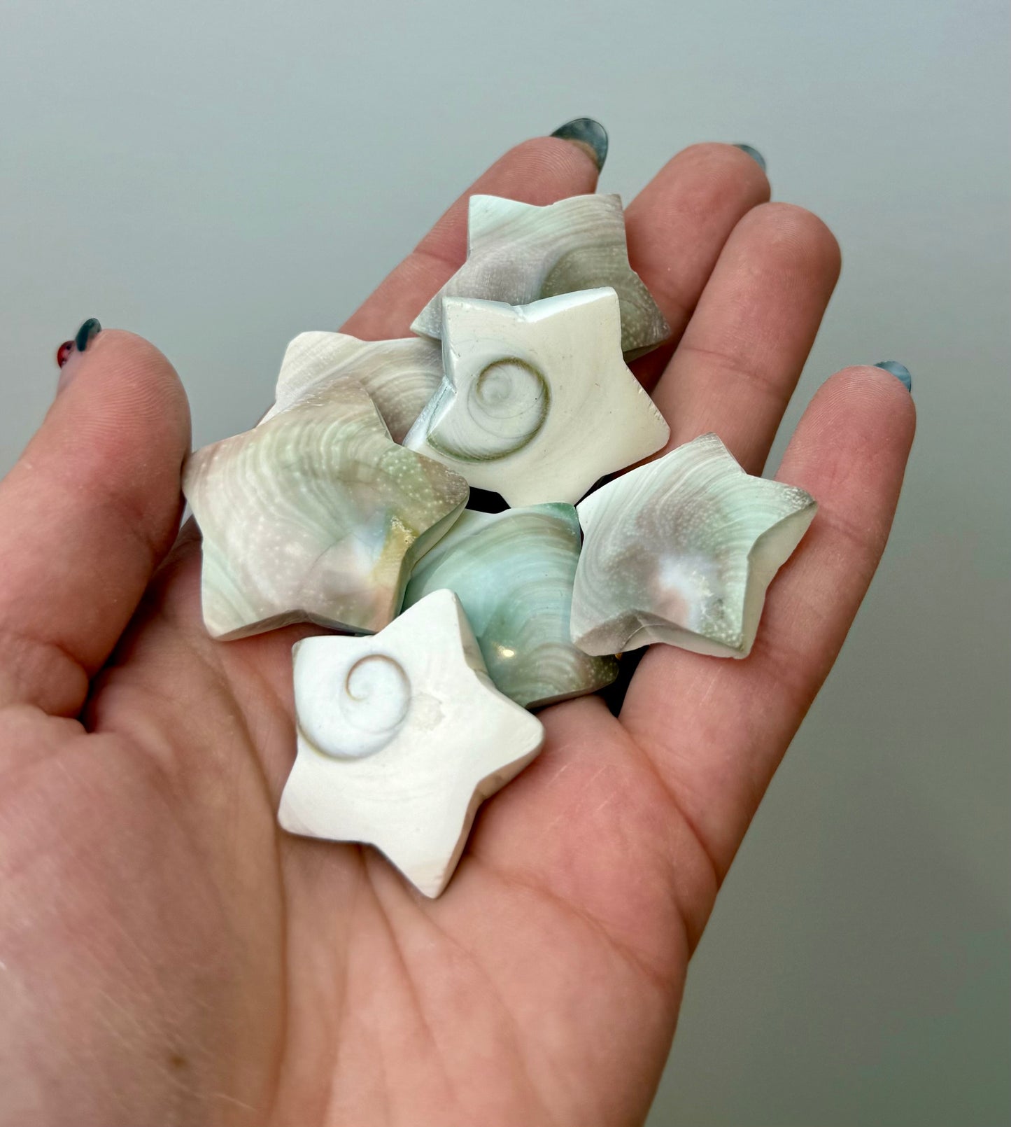Shiva shell star carvings