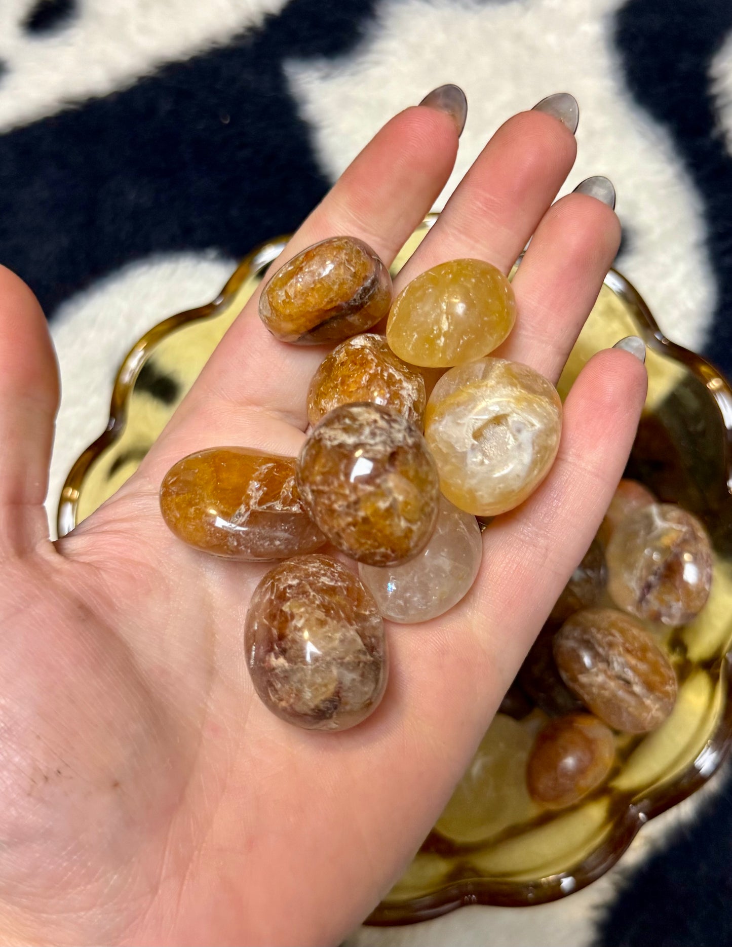 Golden healer tumbles