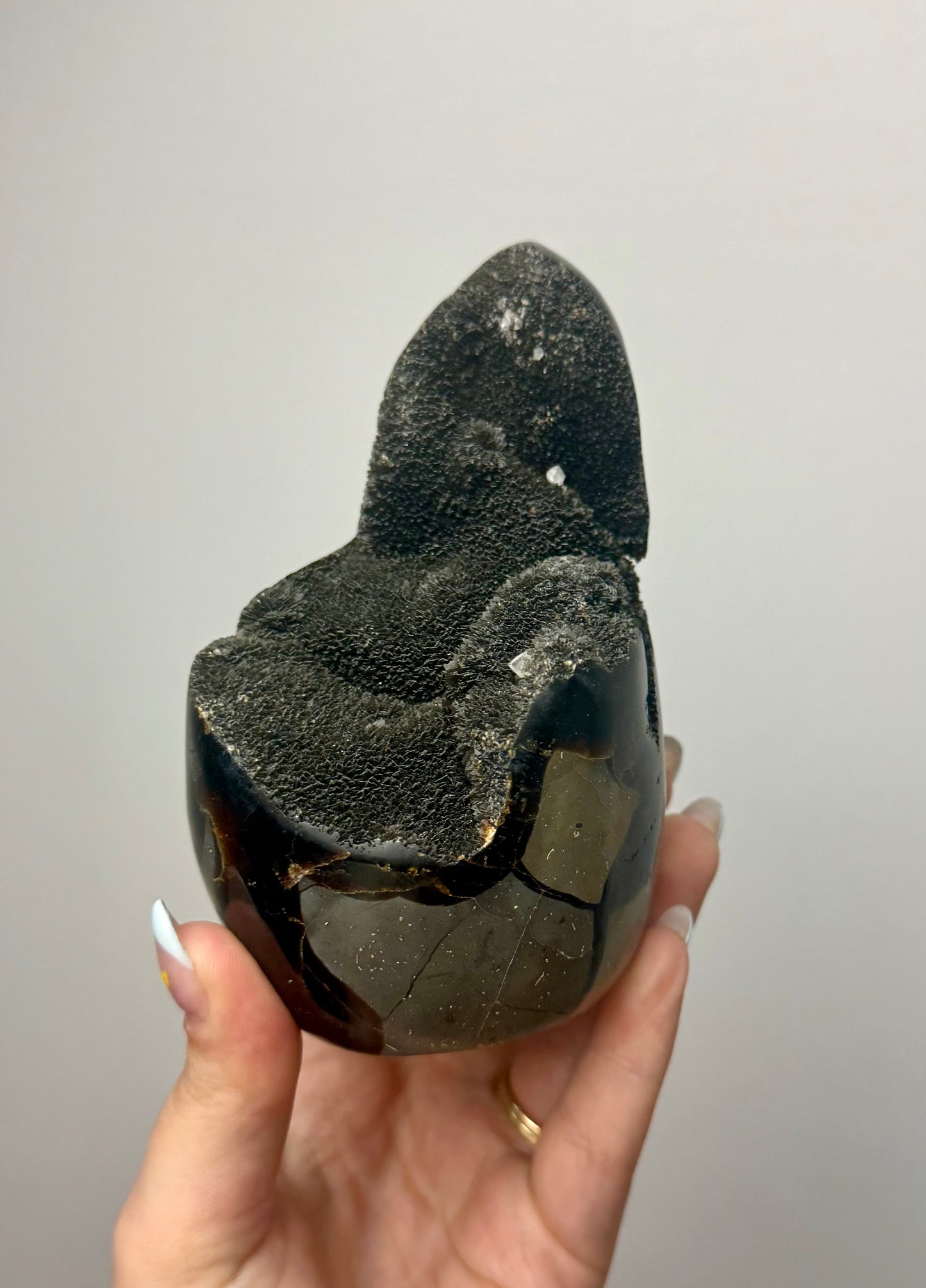 Septarian freeform