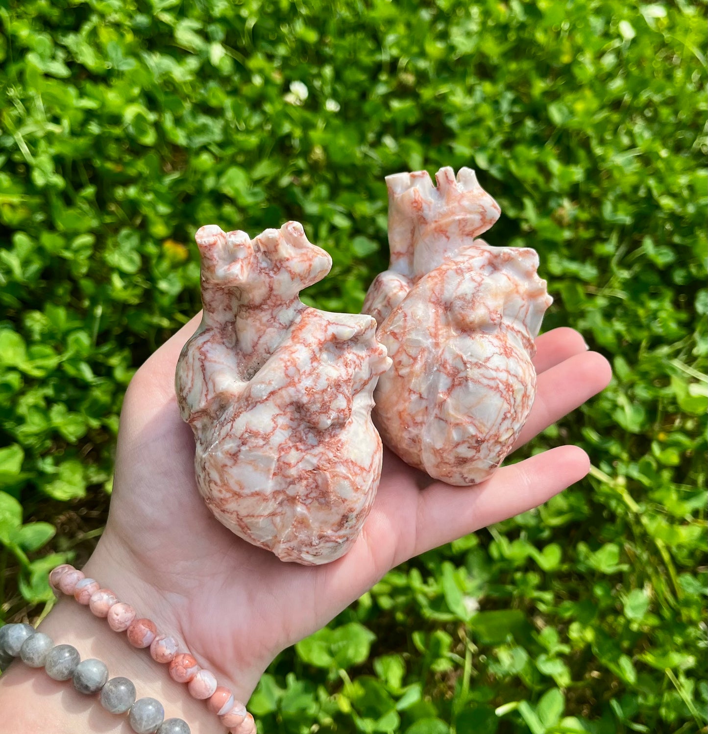 Anatomical heart carving