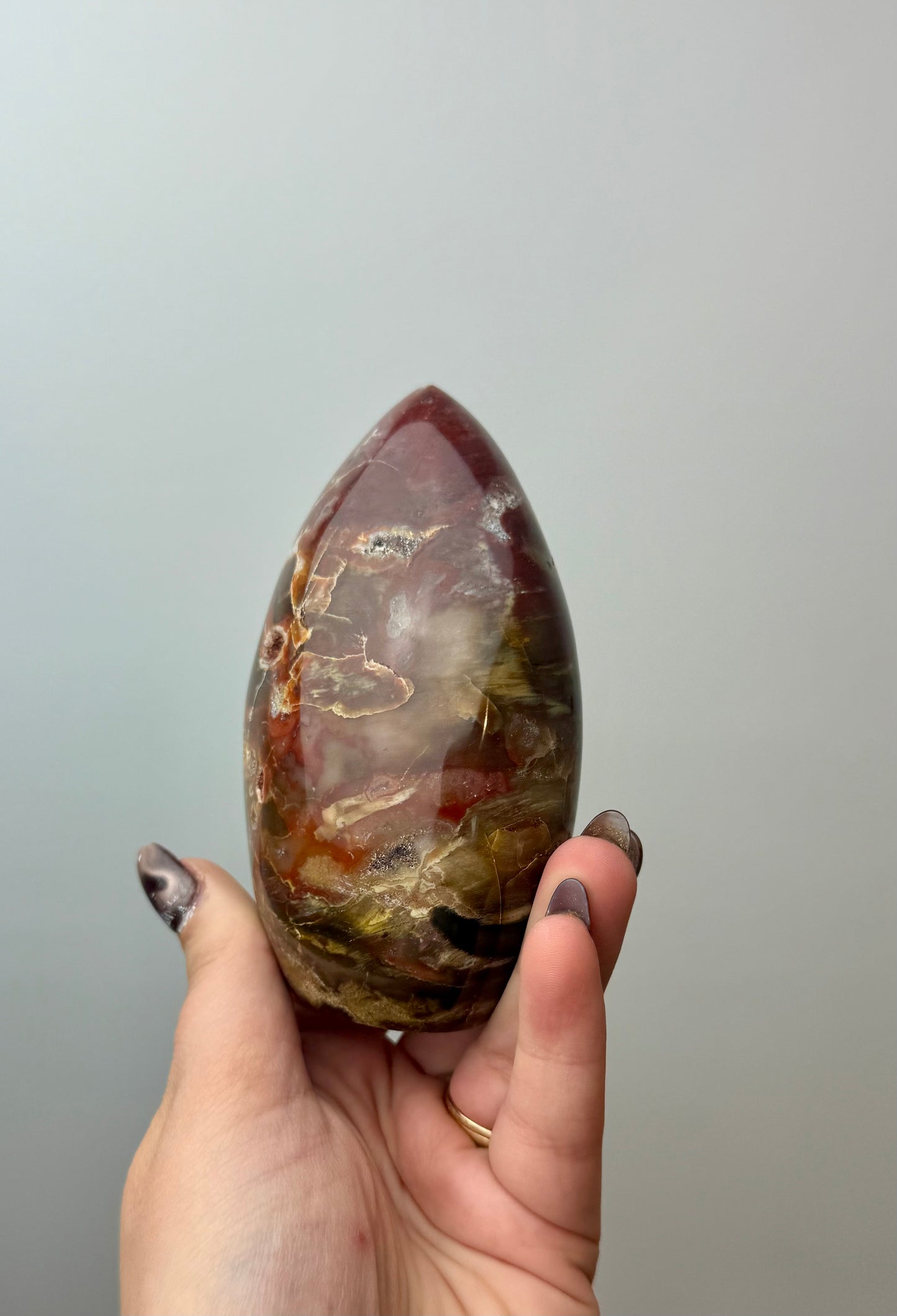 Petrified wood freeform