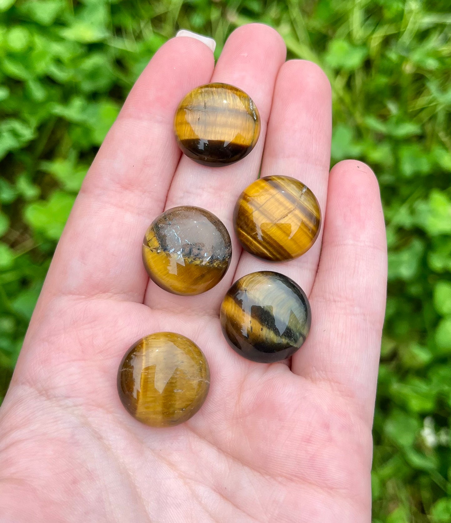 Tigers eye cabochons ￼￼