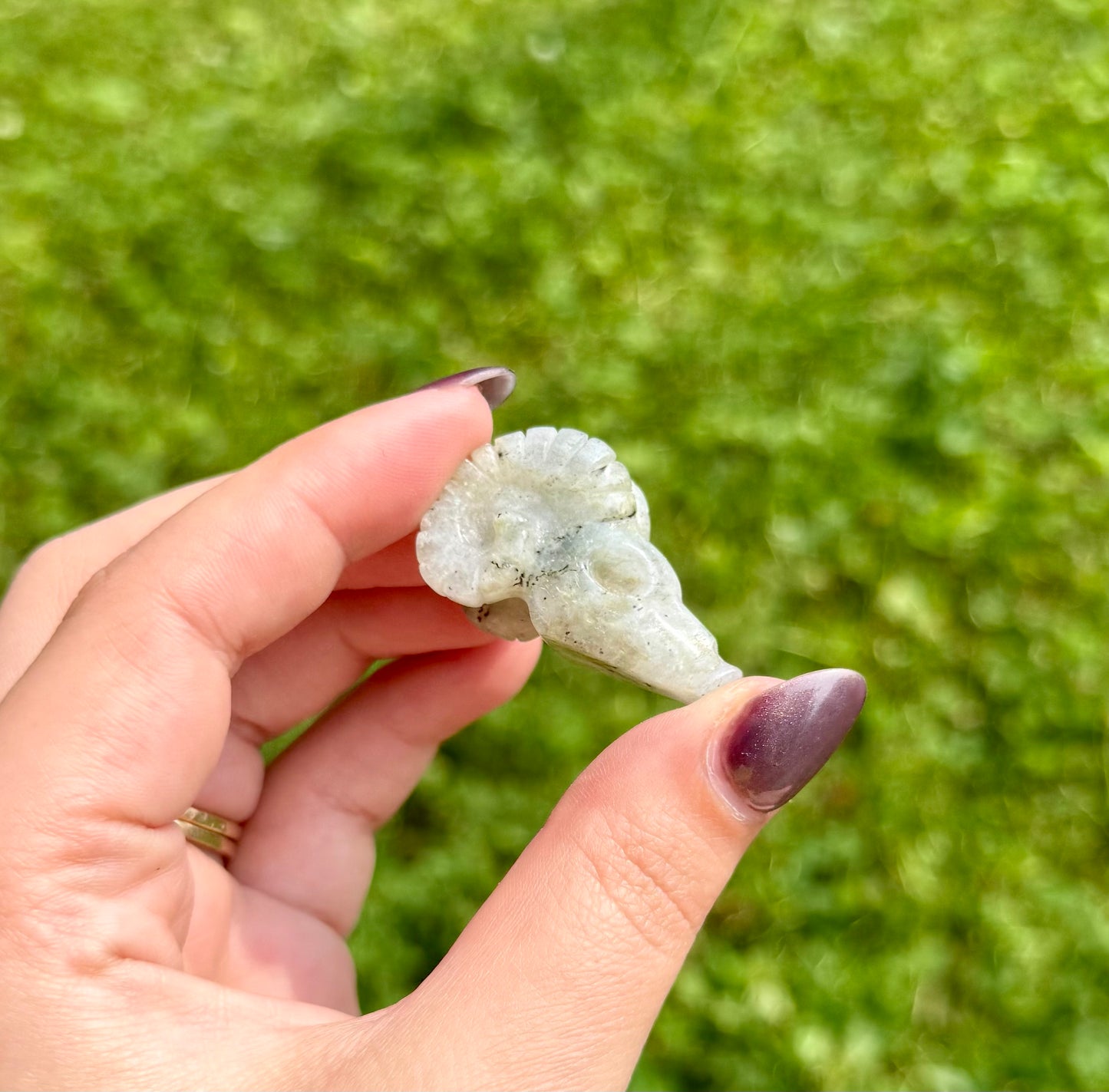 Labradorite goat skull carving