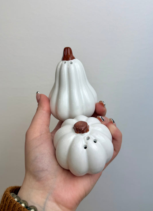 Pumpkin Gourd salt and pepper set thrifted find