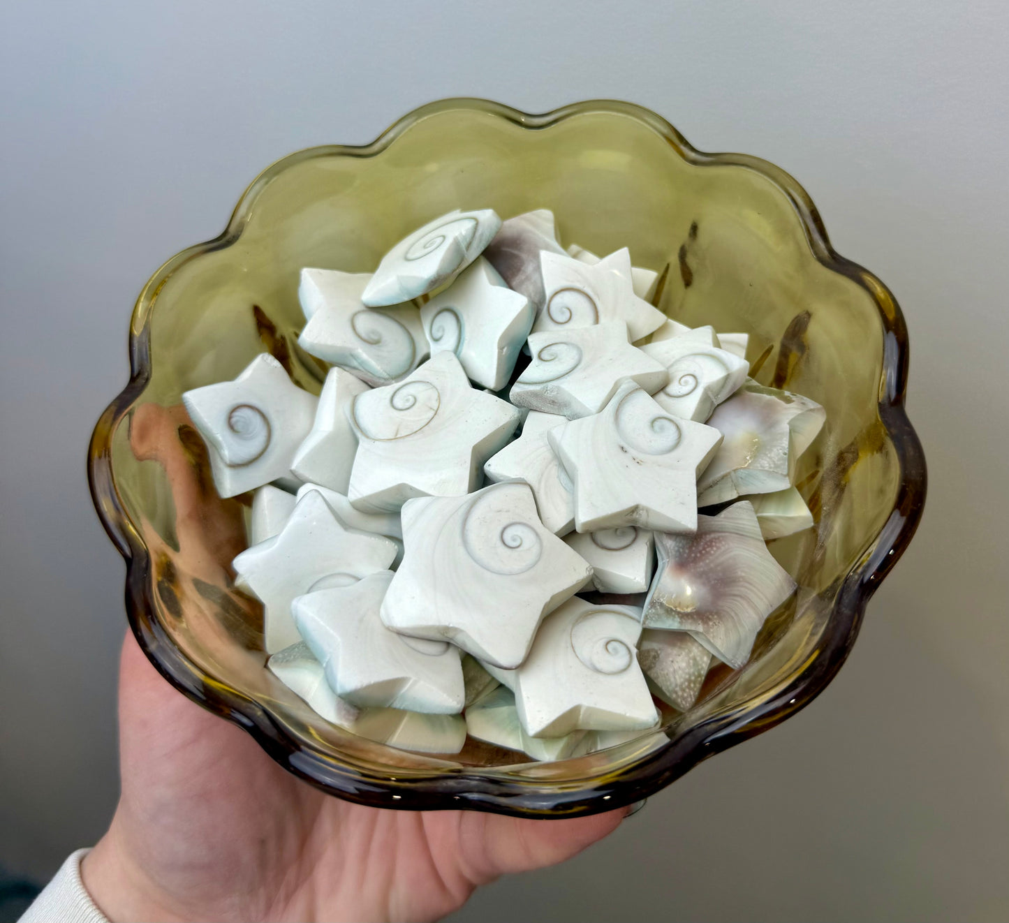 Shiva shell star carvings