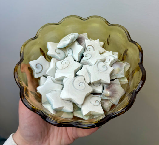 Shiva shell star carvings