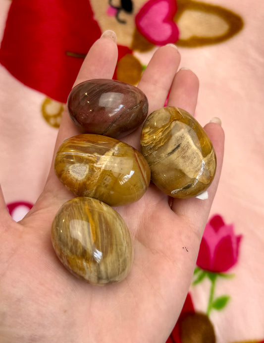 Petrified wood palm stones ￼