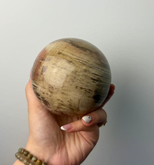 Petrified wood sphere