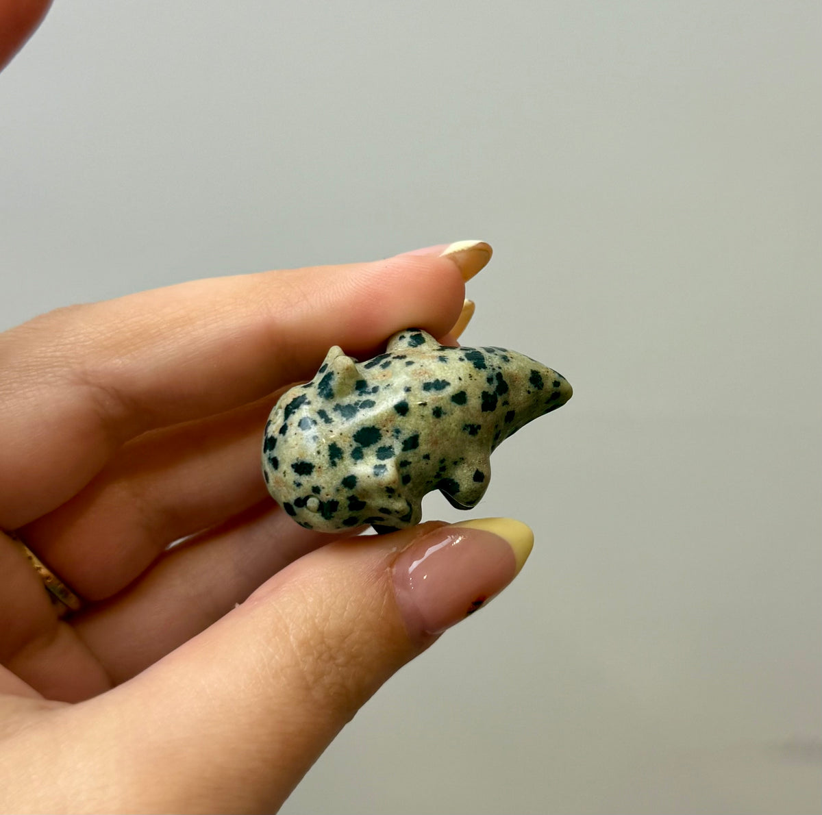 Dalmatian jasper axolotl carving ￼