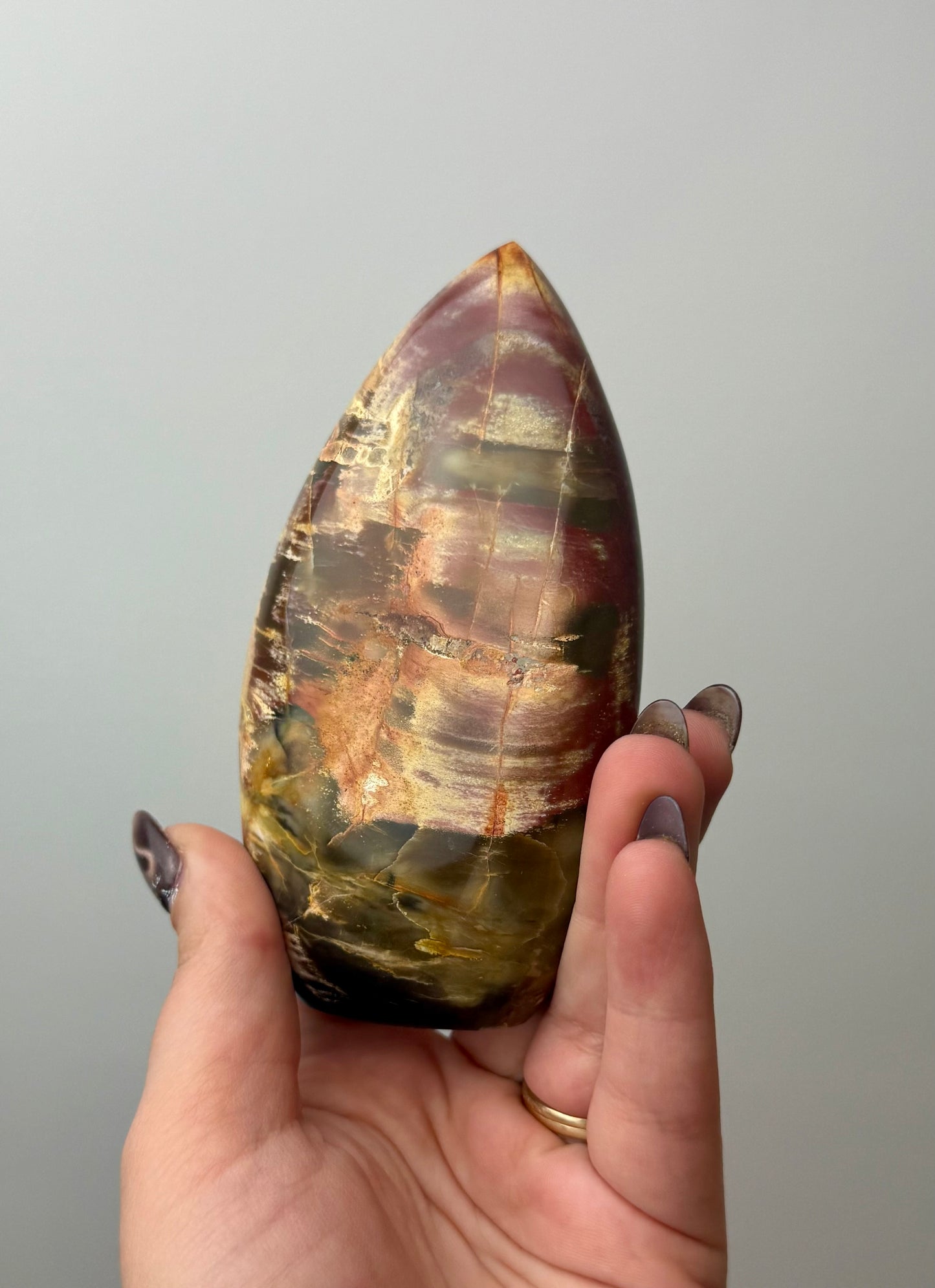 Petrified wood freeform