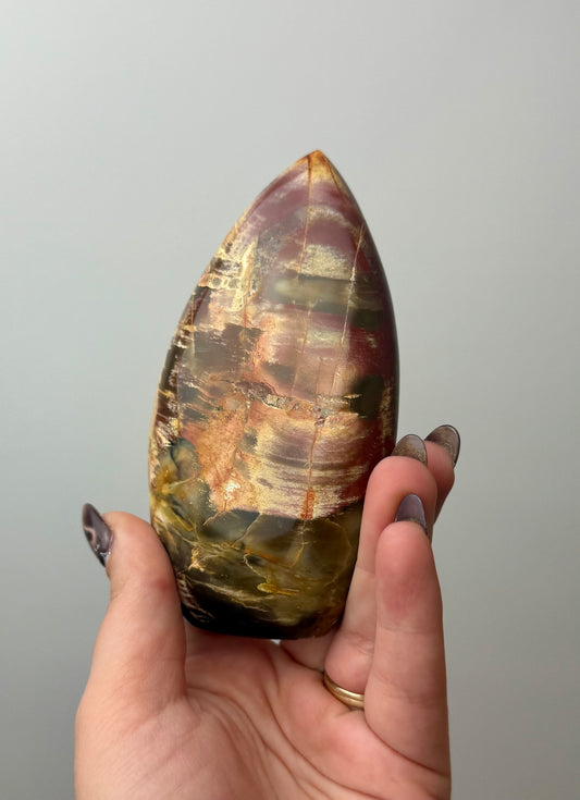 Petrified wood freeform