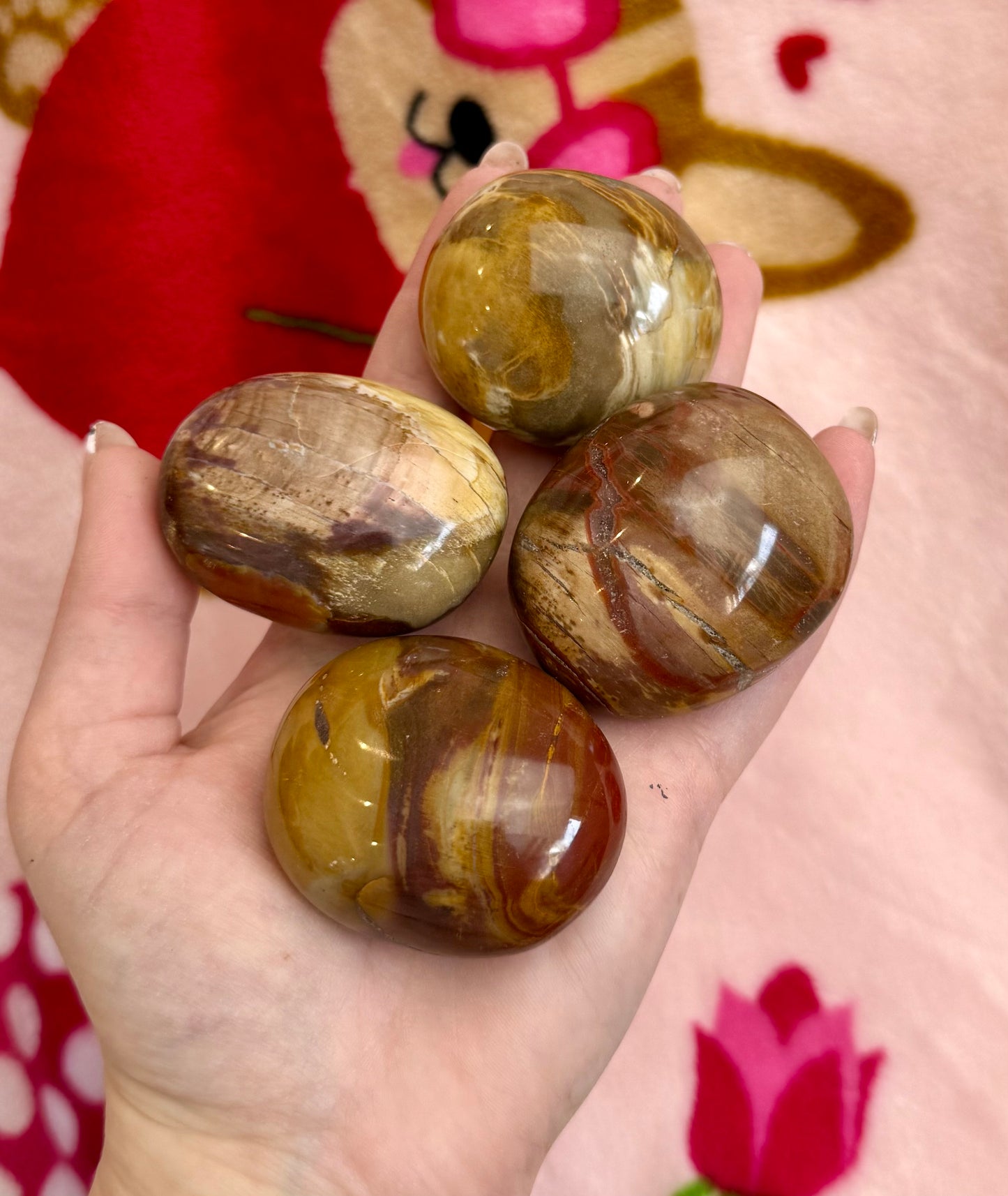 Petrified wood palm stones