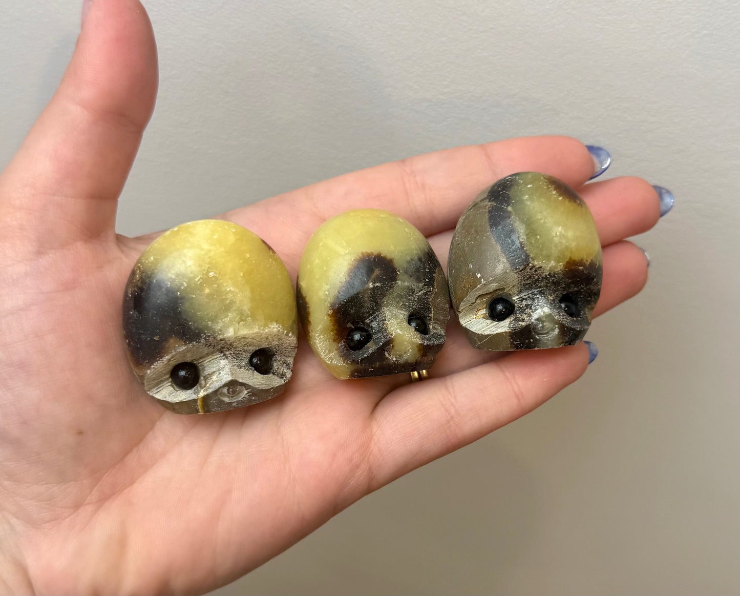 Septarian pebble pets