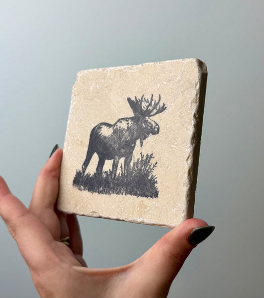 Set of 4 rock moose coasters thrifted find￼
