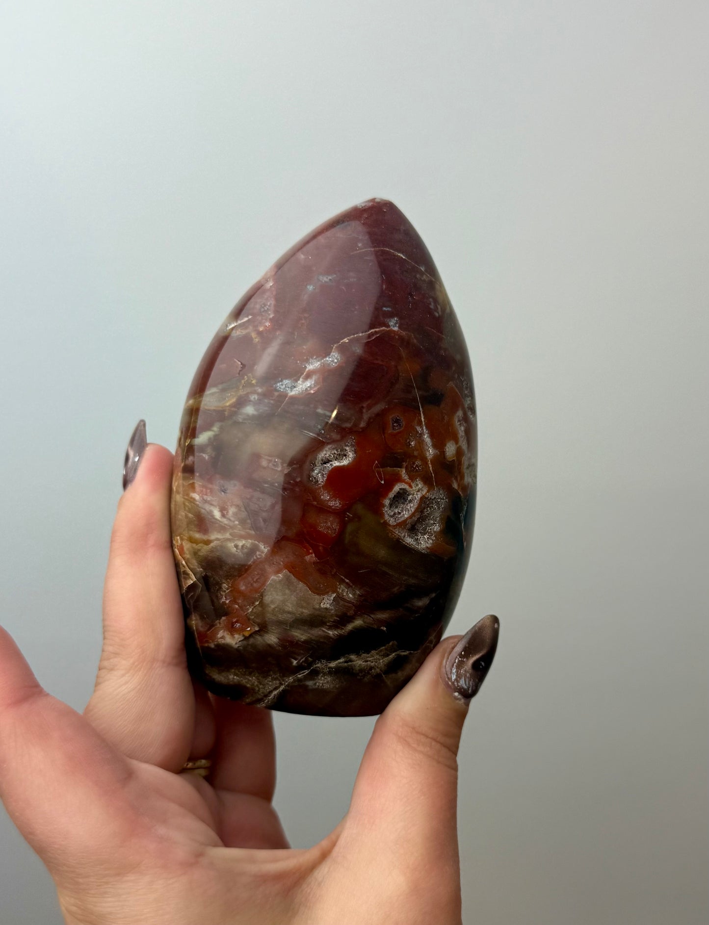 Petrified wood freeform
