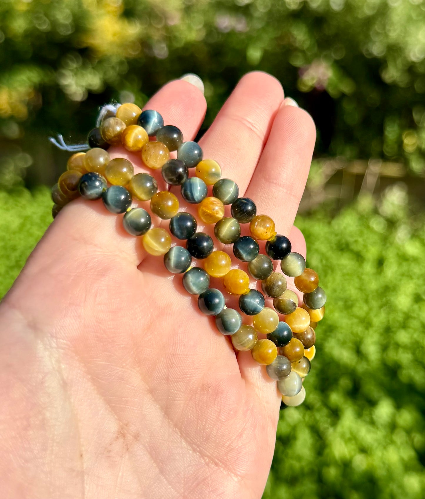 6mm dream tigers eye bracelets