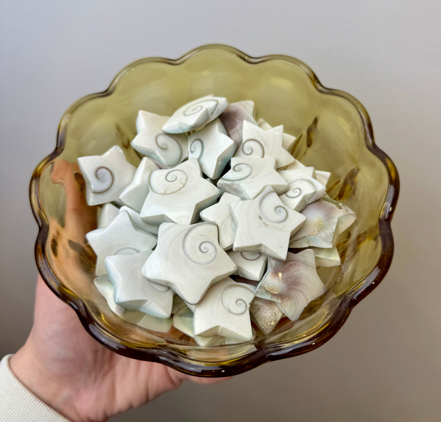 Shiva shell star carvings