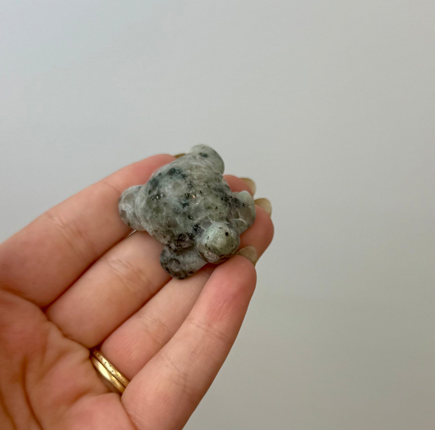 Kiwi jasper turtle carving