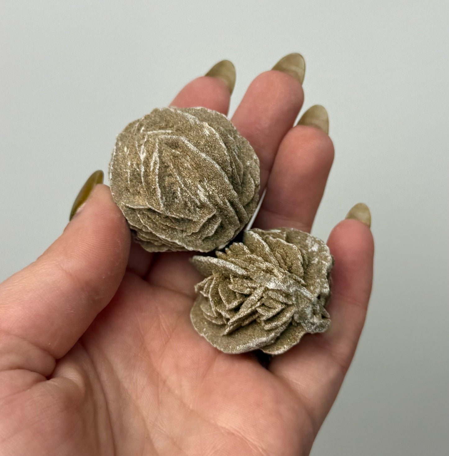 Desert rose specimens