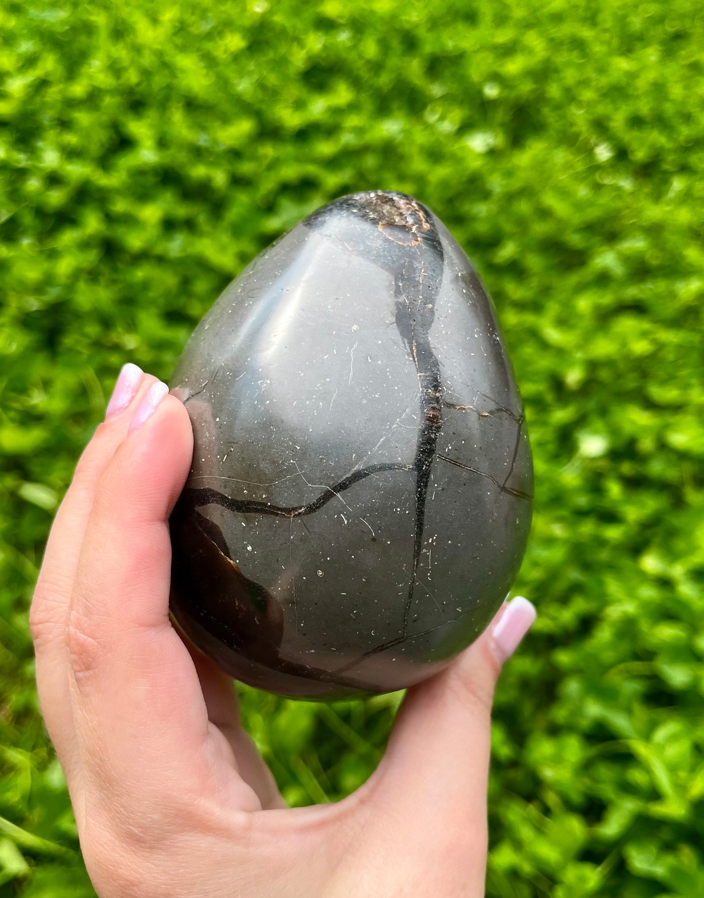 Septarian egg